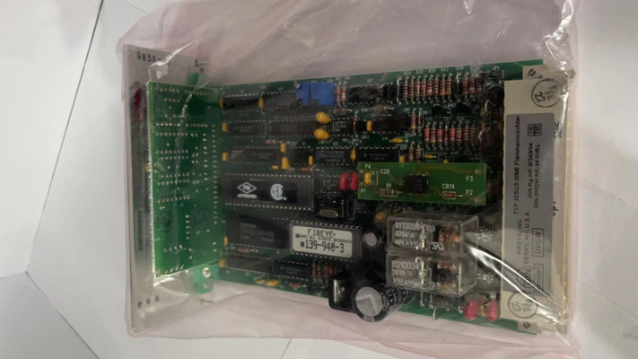 Fireye 放大器 25SU3-2000